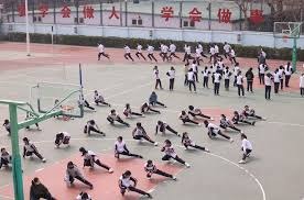 article-layout-design