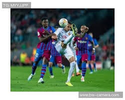 篮球勇士替补中锋封盖高效，数据亮眼